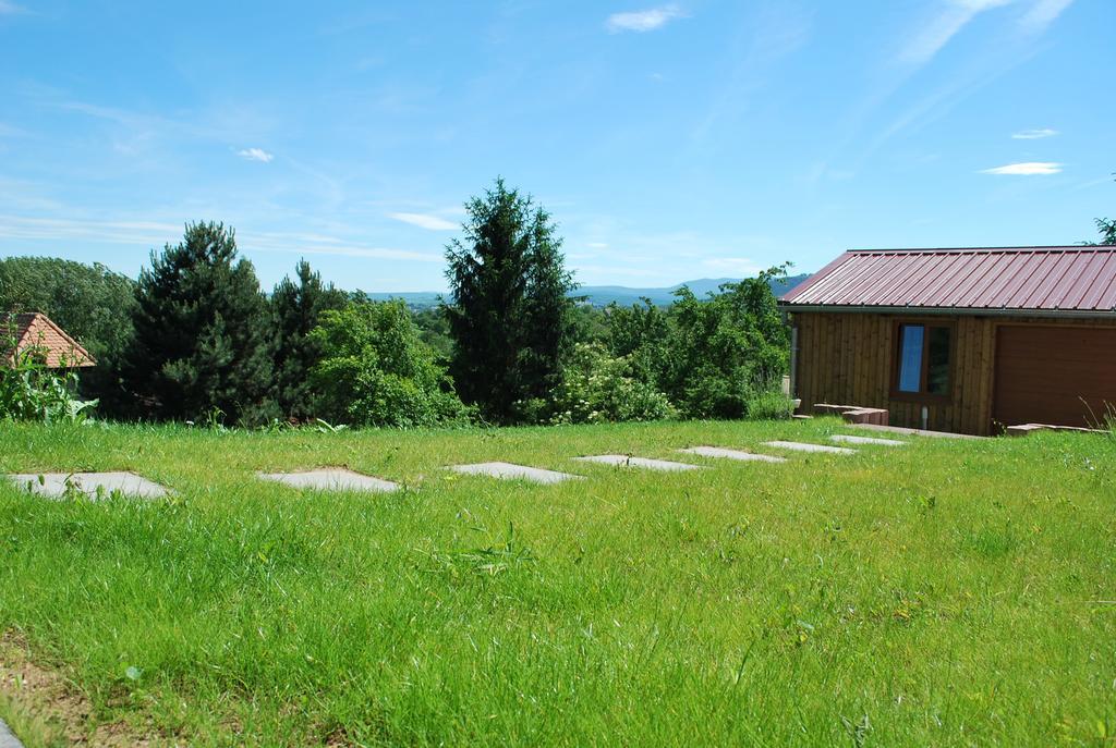 Chambres D'Hotes Les Vignes Saint-Jean-Saverne Eksteriør bilde