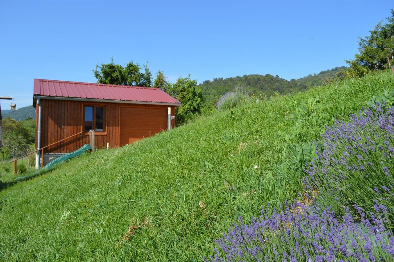 Chambres D'Hotes Les Vignes Saint-Jean-Saverne Eksteriør bilde