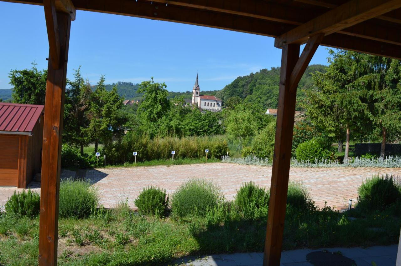 Chambres D'Hotes Les Vignes Saint-Jean-Saverne Eksteriør bilde