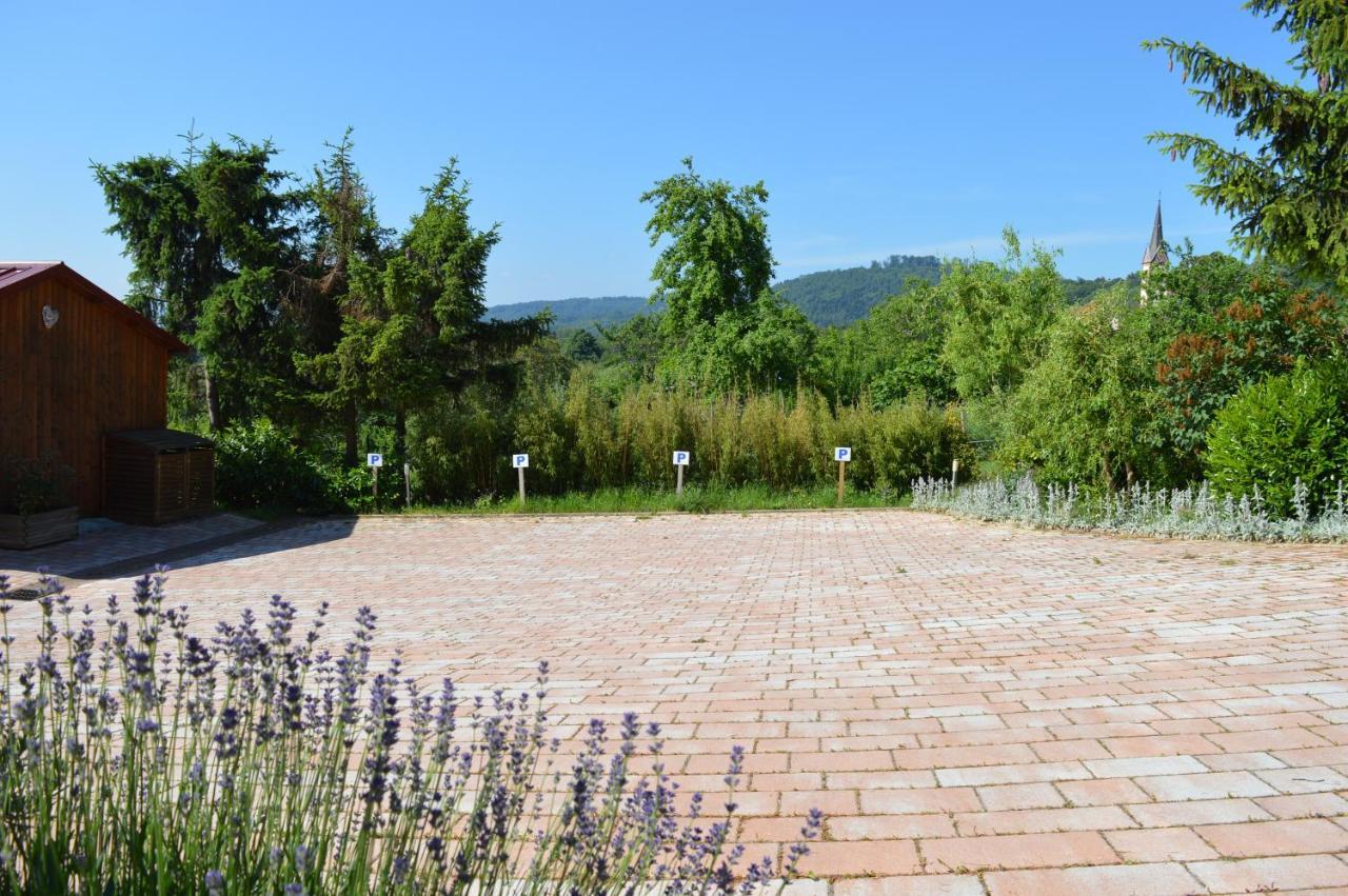 Chambres D'Hotes Les Vignes Saint-Jean-Saverne Eksteriør bilde